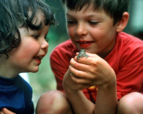 Two_kids_discovering_the_fascinating_nature_2