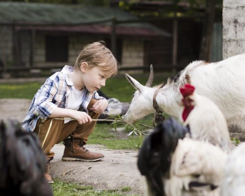 little-kid-playing-with-farm-animals